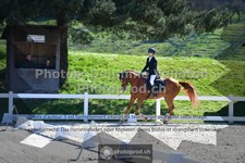 ref. photo 3549941