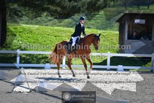 ref. photo 3549942