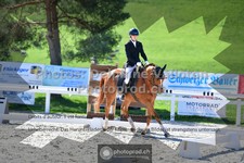 ref. photo 3549944