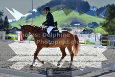 ref. photo 3549945