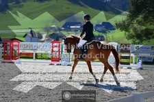 ref. photo 3549947