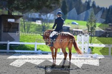 ref. photo 3549948
