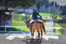 ref. photo 3549949