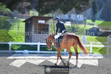 ref. photo 3549950