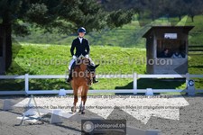 ref. photo 3549952