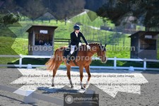 ref. photo 3549954