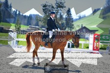 ref. photo 3549955