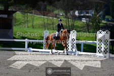 ref. photo 3549956