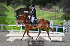 ref. photo 3549976