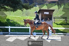 ref. photo 3549980