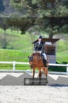ref. photo 3549982