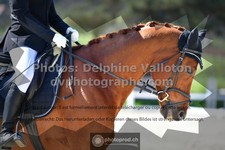 ref. photo 3549983