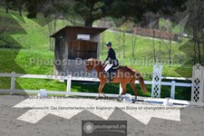 ref. photo 3549986