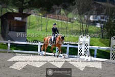 ref. photo 3549996