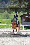 ref. photo 3549998