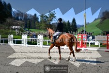 ref. photo 3550008