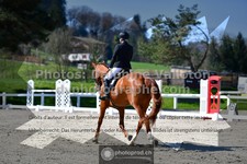 ref. photo 3550009