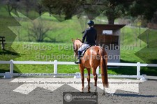 ref. photo 3550010