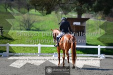 ref. photo 3550011