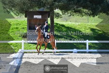ref. photo 3550012