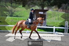 ref. photo 3550014
