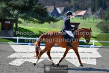 ref. photo 3550016
