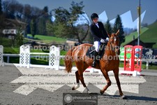 ref. photo 3550018