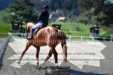 ref. photo 3550019
