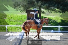 ref. photo 3550020