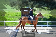 ref. photo 3550021
