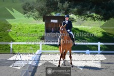 ref. photo 3550022