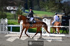 ref. photo 3550024