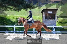 ref. photo 3550025