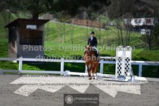 ref. photo 3550026