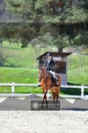 ref. photo 3550027
