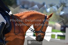 ref. photo 3550028
