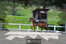 ref. photo 3550030