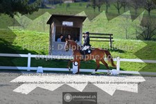 ref. photo 3550031
