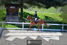 ref. photo 3550032