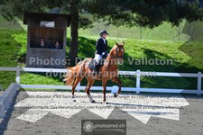 ref. photo 3550033