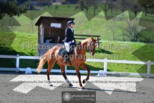 ref. photo 3550034