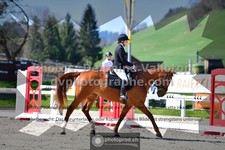ref. photo 3550035