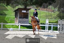 ref. photo 3550038