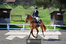 ref. photo 3550039
