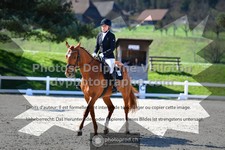 ref. photo 3550040