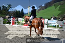 ref. photo 3550041