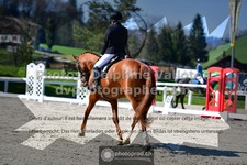ref. photo 3550042