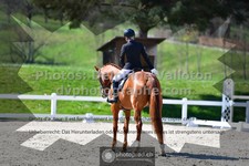 ref. photo 3550043