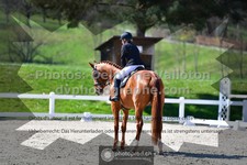 ref. photo 3550044