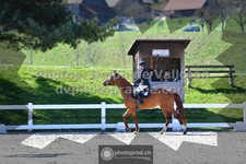 ref. photo 3550046